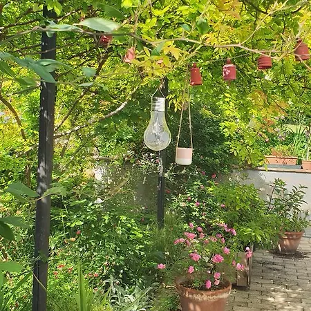 Lägenhet Flowher's *