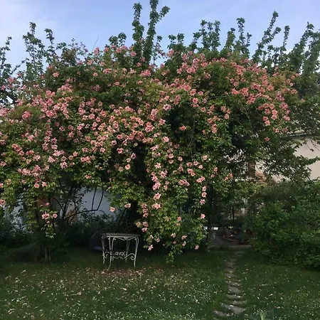 Flowher's *